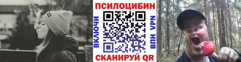 Галлюциногенные грибы Psilocybine cubensis  Ак-Довурак 