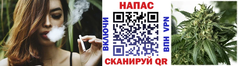 Бошки Шишки семена  Ак-Довурак 